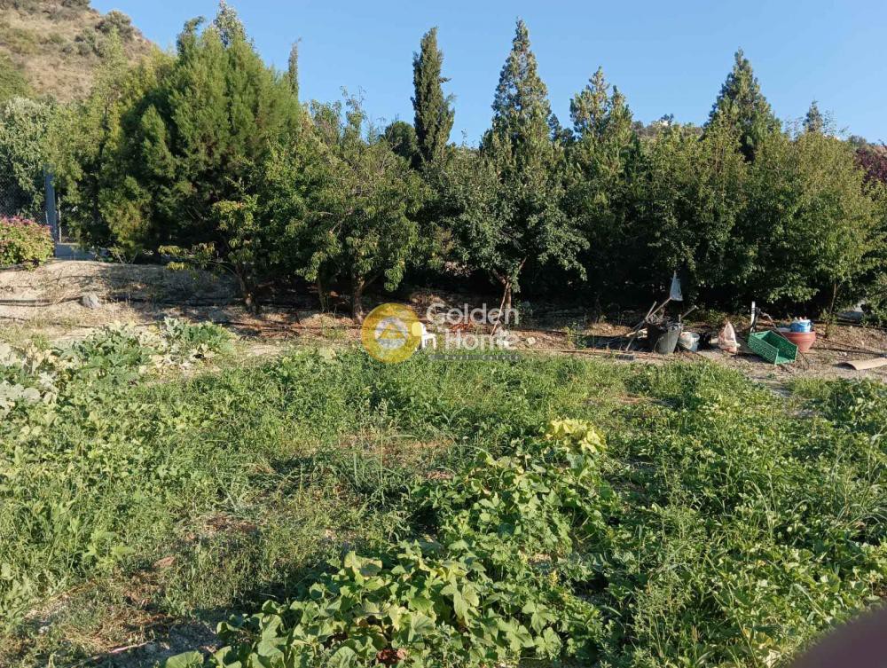 Οικόπεδο 5.000 τ.μ. προς πώληση, Δαφνές Ηρακλείου