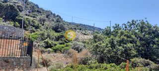 Αγροτεμάχια 500 τ.μ. για πώληση