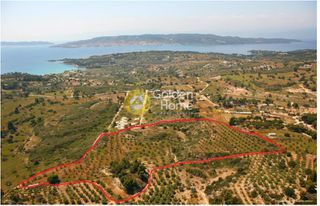 Οικόπεδο 40.000 τ.μ. για πώληση, Αργολίδα, Κρανίδι-thumb-1