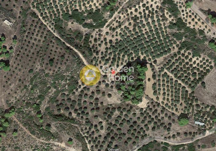 Οικόπεδο 40.000 τ.μ. για πώληση, Αργολίδα, Κρανίδι