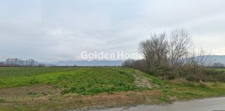 Αγροτεμάχια 13.587 τ.μ. για πώληση