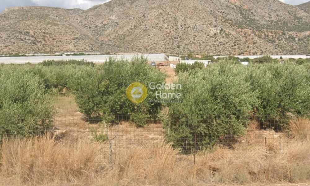 Οικόπεδο 9.000 τ.μ. προς πώληση, Ελαφονήσι