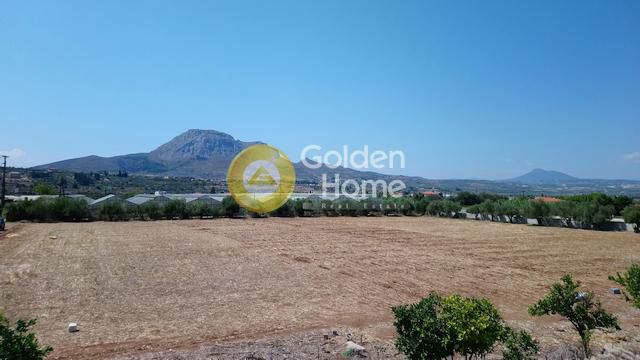 Οικόπεδο 49.000 τ.μ. για πώληση, Κορινθία, Κόρινθος