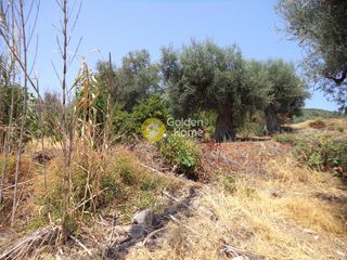 Αγροτεμάχια 570 τ.μ. για πώληση