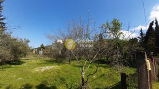 Οικόπεδο 3.970 τ.μ. για πώληση