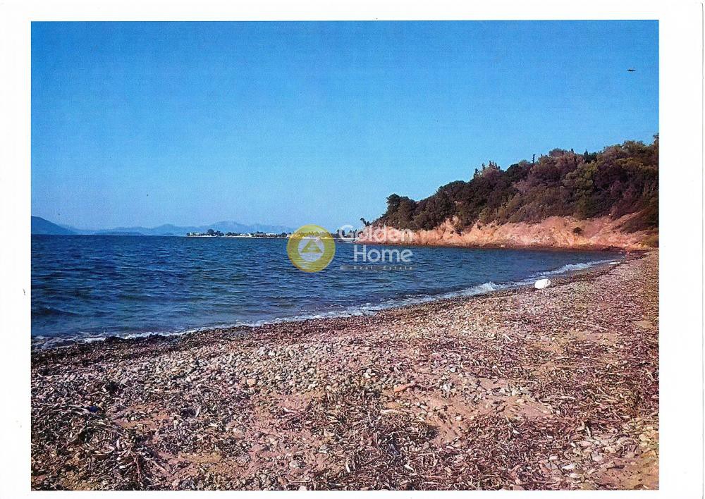 Οικόπεδο 62.000 τ.μ. προς πώληση, Αγιόκαμπος Αιδηψού