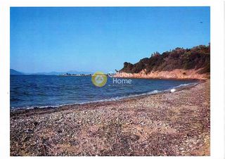 Οικόπεδο 62.000 τ.μ. προς πώληση, Αγιόκαμπος Αιδηψού-thumb-2