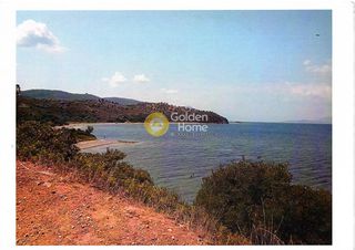Οικόπεδο 62.000 τ.μ. προς πώληση, Αγιόκαμπος Αιδηψού-thumb-5