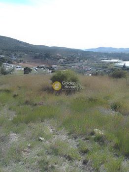 Αγροτεμάχια 540 τ.μ. για πώληση