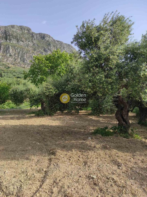 Οικόπεδο 2.024 τ.μ. προς πώληση, Κερά Μυθήμνης