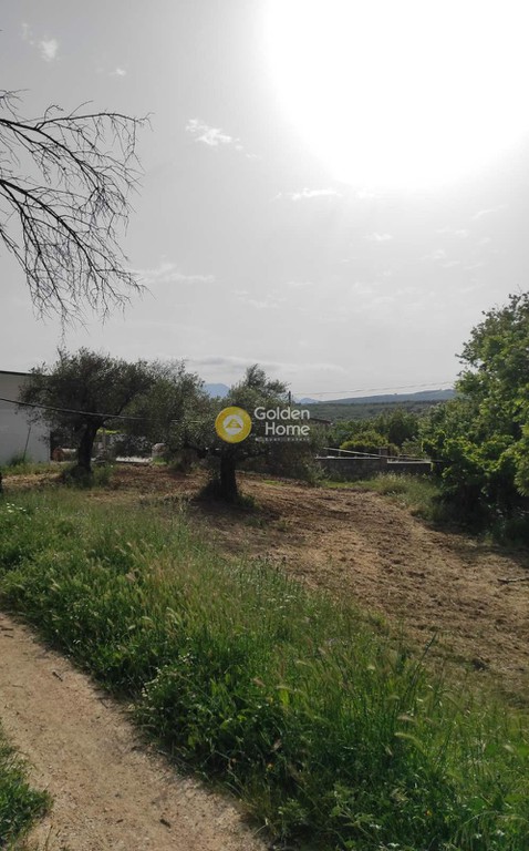 Οικόπεδο 2.024 τ.μ. προς πώληση, Κερά Μυθήμνης