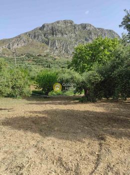 Land plot 2.024 sqm for sale