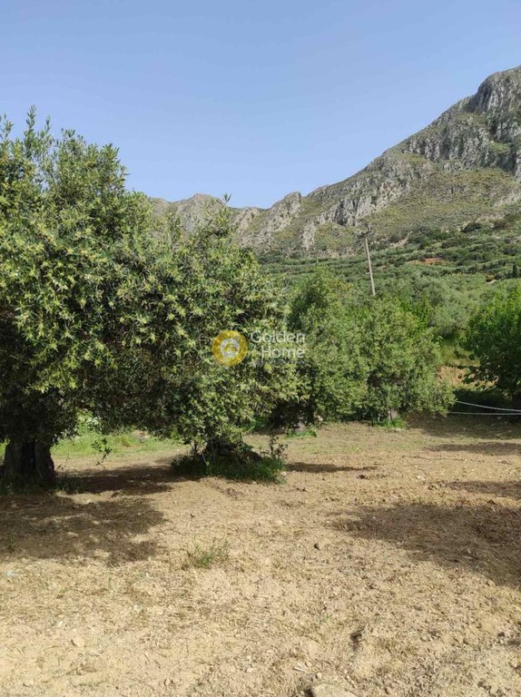 Οικόπεδο 2.024 τ.μ. προς πώληση, Κερά Μυθήμνης