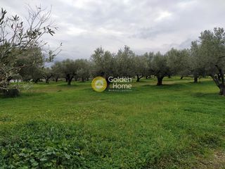 Οικόπεδο 2.688 τ.μ. για πώληση