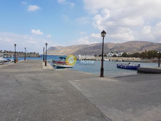Οικόπεδο 18.000 τ.μ. για πώληση