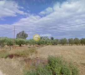 Αγροτεμάχια 8.335 τ.μ. για πώληση
