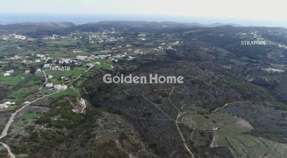 Αγροτεμάχια 76.466 τ.μ. προς πώληση, Άνω Λιβάδι