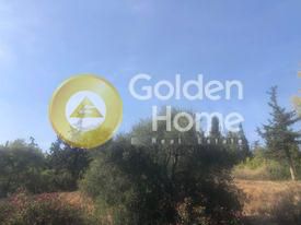 Detached home 143 sqm for sale