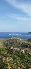 Αγροτεμάχια 42.000 τ.μ. για πώληση