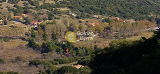 Αγροτεμάχια 1.194 τ.μ. για πώληση