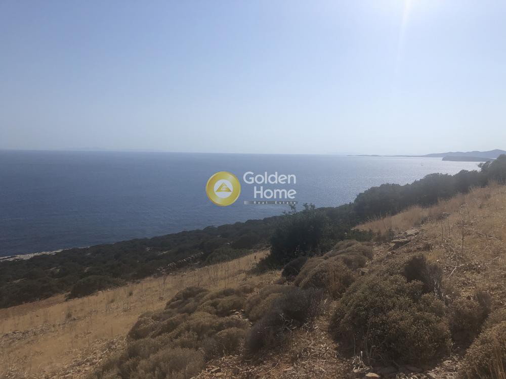 Αγροτεμάχια 13.700 τ.μ. προς πώληση, Άγιος Ιωάννης Τρυπητής