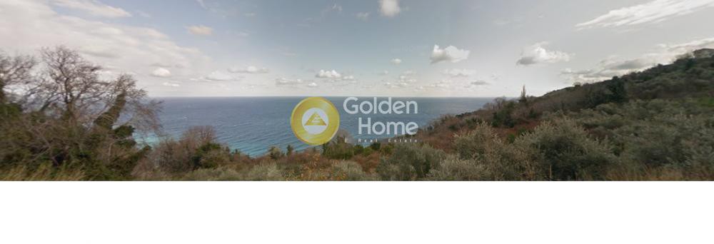 Οικόπεδο 11.100 τ.μ. πρός πώληση, Μαγνησία, Ζαγορά
