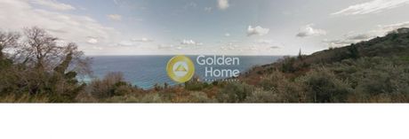 Οικόπεδο 11.100 τ.μ. πρός πώληση