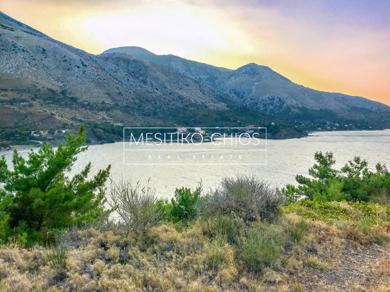 Οικόπεδο 4.830,72 τ.μ. προς πώληση, Καρδάμυλα