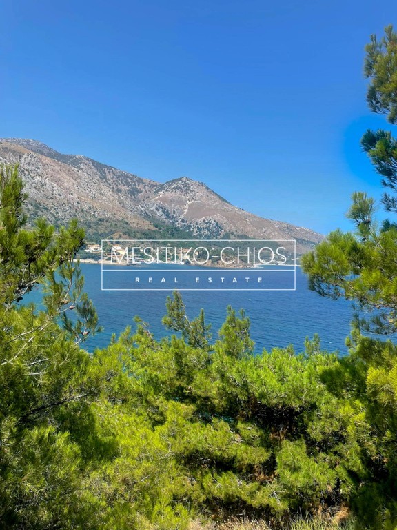 Οικόπεδο 4.830,72 τ.μ. προς πώληση, Καρδάμυλα
