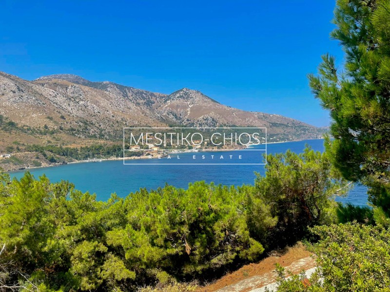 Οικόπεδο 4.830,72 τ.μ. προς πώληση, Καρδάμυλα
