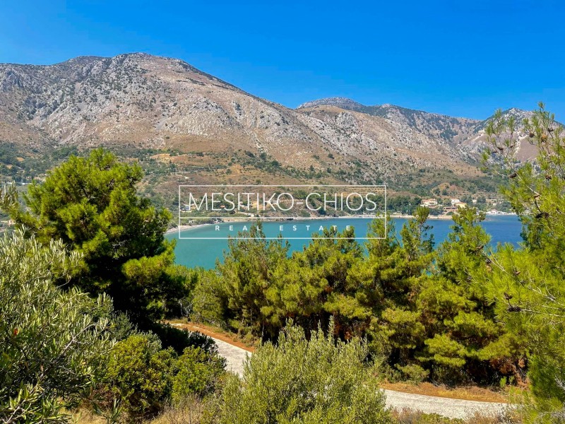 Οικόπεδο 4.830,72 τ.μ. προς πώληση, Καρδάμυλα