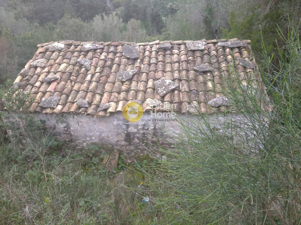 Αγροτεμάχια 1.300 τ.μ. προς πώληση, Αντίπαξος