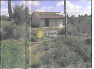 Αγροτεμάχια 1.505 τ.μ. για πώληση