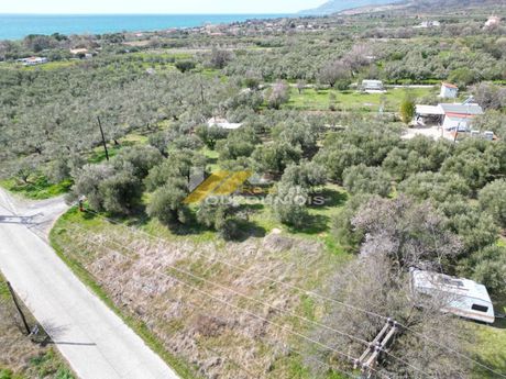 Αγροτεμάχια 560τ.μ. για πώληση-Αλεξανδρούπολη » Μεσημβρία