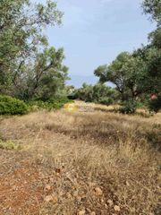 Οικόπεδο 1.400 τ.μ. για πώληση