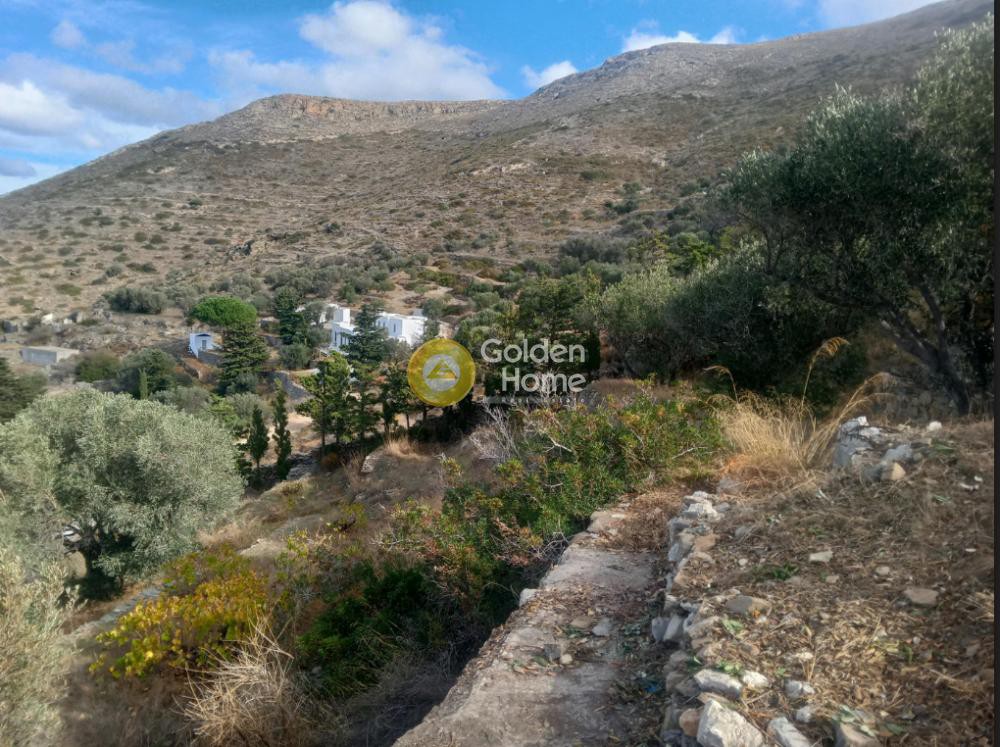 Αγροτεμάχια 8.686 τ.μ. προς πώληση, Κακάπετρα