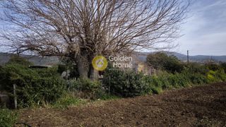Οικόπεδο 600 τ.μ. για πώληση, Αργολίδα, Ασίνη-thumb-1