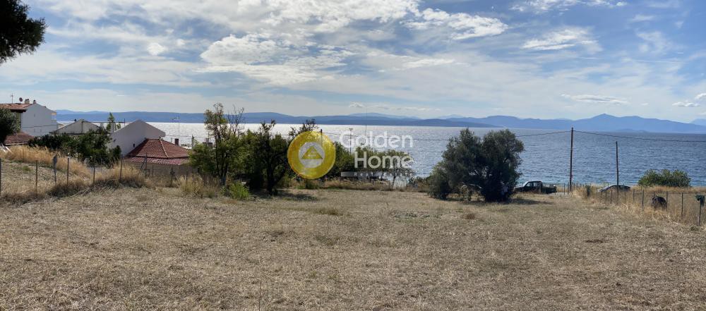 Οικόπεδο 3.558 τ.μ. προς πώληση, Χρόνια
