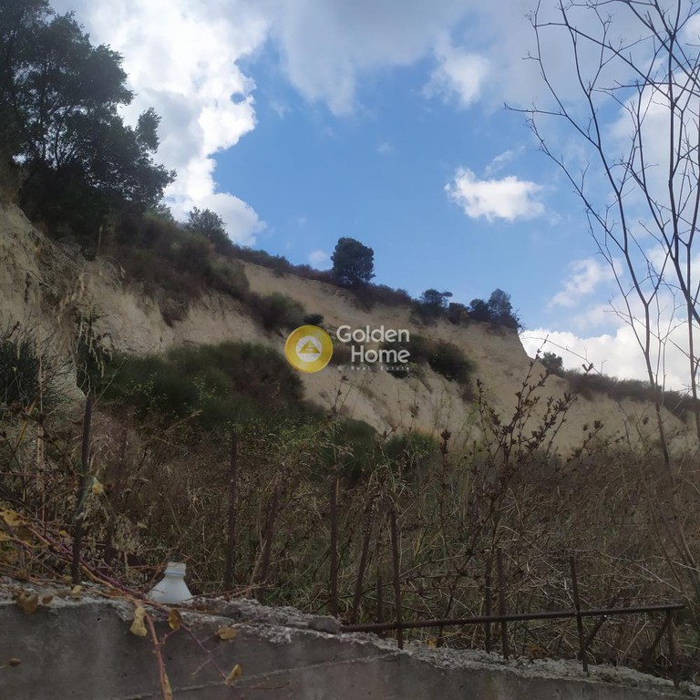 Οικόπεδο 4.270 τ.μ. προς πώληση, Αθάνατοι