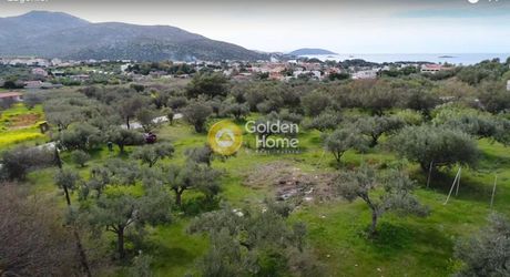 Οικόπεδο 1.250 τ.μ. για πώληση