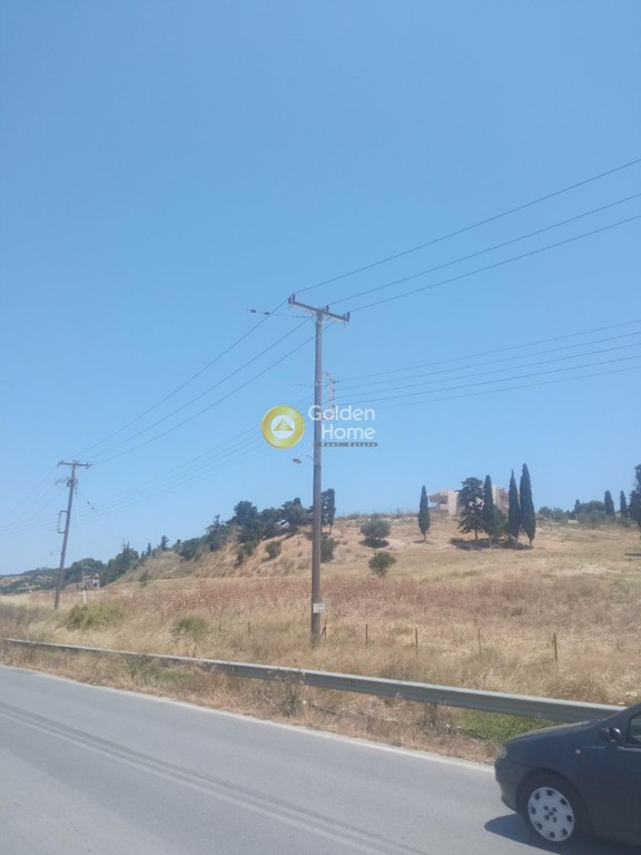 Οικόπεδο 5.000 τ.μ. προς πώληση, Λοφούπολη