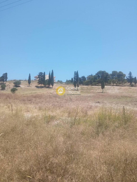 Οικόπεδο 5.000 τ.μ. προς πώληση, Λοφούπολη