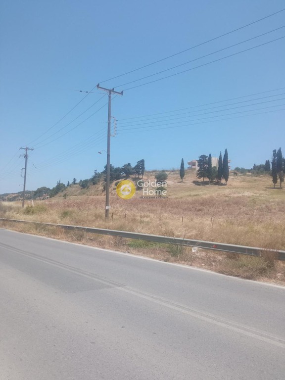 Οικόπεδο 5.000 τ.μ. προς πώληση, Λοφούπολη