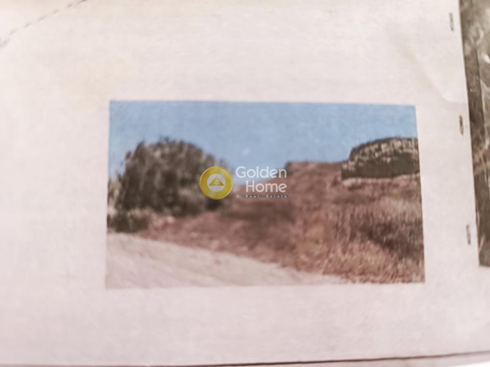 Αγροτεμάχια 4.594 τ.μ. προς πώληση, Θήρα