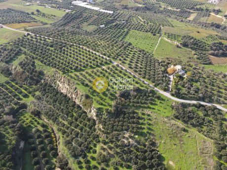 Οικόπεδο 5.000 τ.μ. προς πώληση