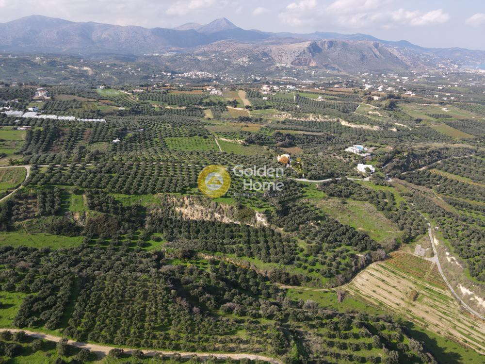 Οικόπεδο 5.000 τ.μ. προς πώληση, Γιοφυράκια