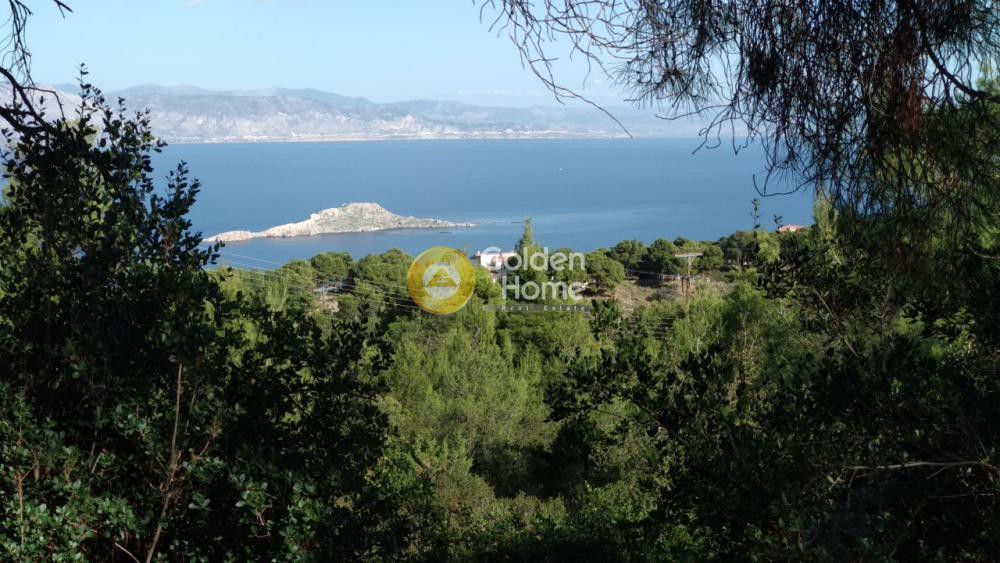 Οικόπεδο 1.000 τ.μ. προς πώληση, Φραγκολίμανο