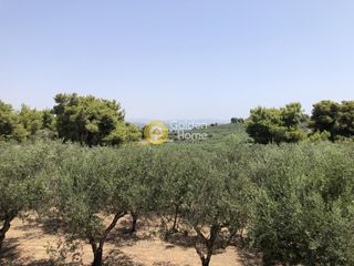Μονοκατοικία 300 τ.μ. για πώληση, Αργολίδα, Κρανίδι-thumb-53