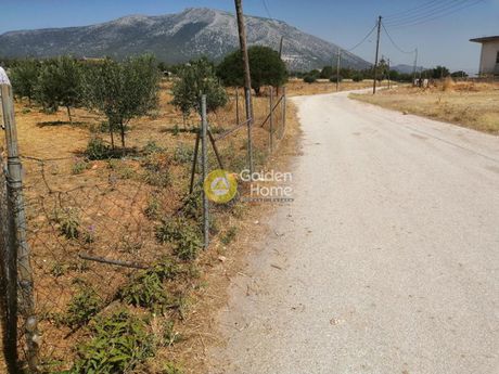 Αγροτεμάχια 1.459 τ.μ. για πώληση