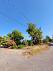 Οικόπεδο 1.000 τ.μ. για πώληση